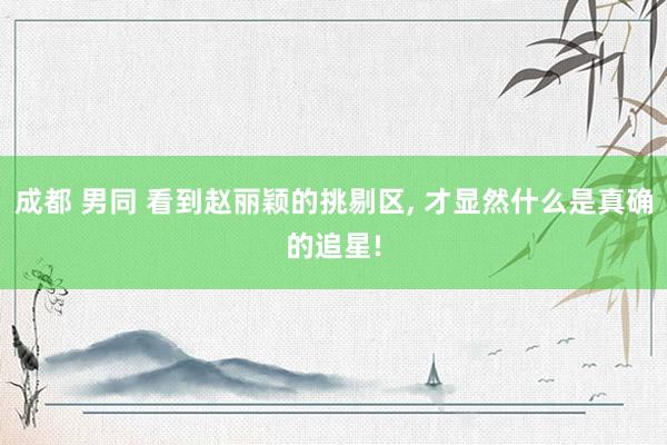 成都 男同 看到赵丽颖的挑剔区, 才显然什么是真确的追星!